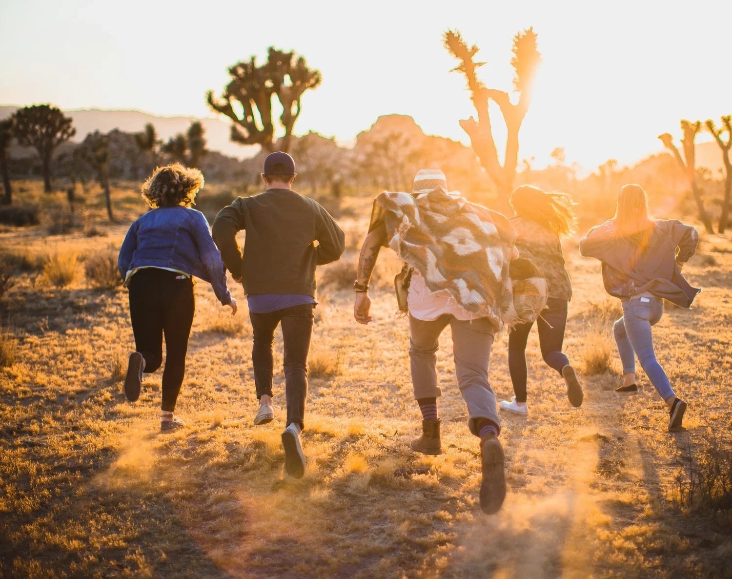 Mbaye Jeng – Companionship Service - Dieses Bild zeigt Menschen, die durch eine Wüstenlandschaft mit Josuabäumen laufen.